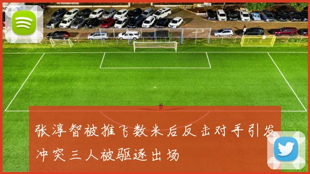 张淳智被推飞数米后反击对手引发冲突三人被驱逐出场