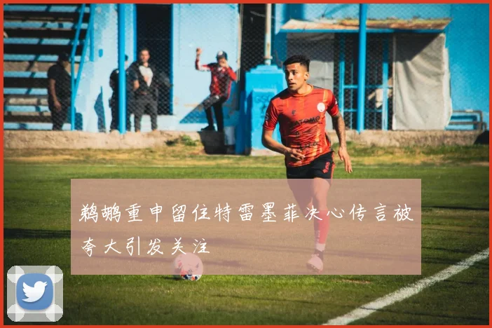 鹈鹕重申留住特雷墨菲决心传言被夸大引发关注