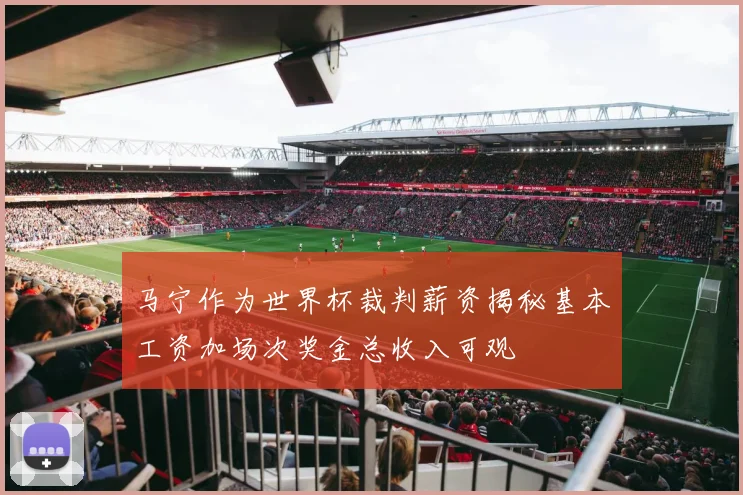 马宁作为世界杯裁判薪资揭秘基本工资加场次奖金总收入可观