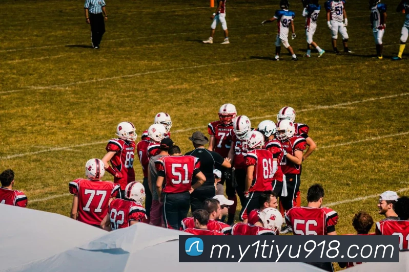 Y1体育平台生态图